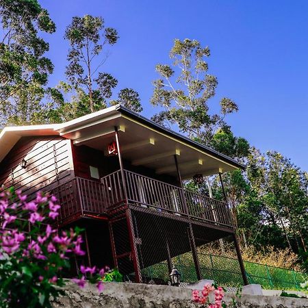 Wild Orchid Eco Tourism 무나르 외부 사진
